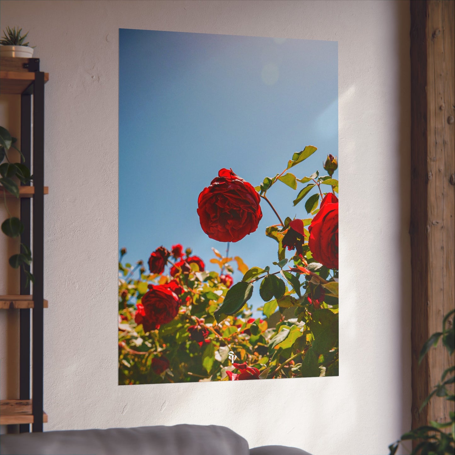 THE. ROSES. Fine Art Posters