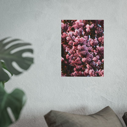 BLOSSOM! Fine Art Posters