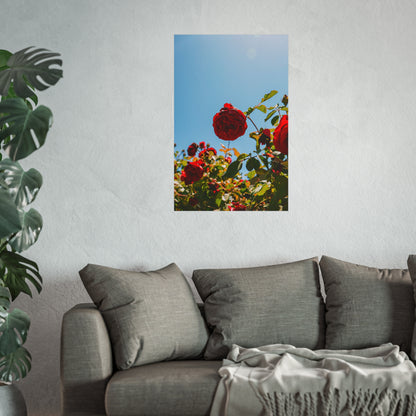 THE. ROSES. Fine Art Posters