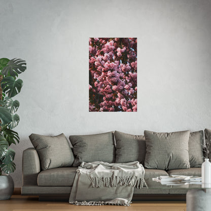 BLOSSOM! Fine Art Posters