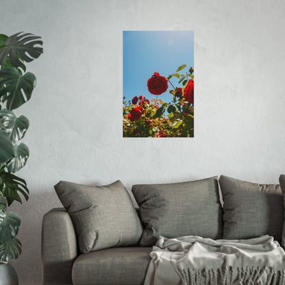 THE. ROSES. Fine Art Posters