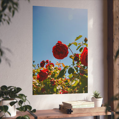 THE. ROSES. Fine Art Posters