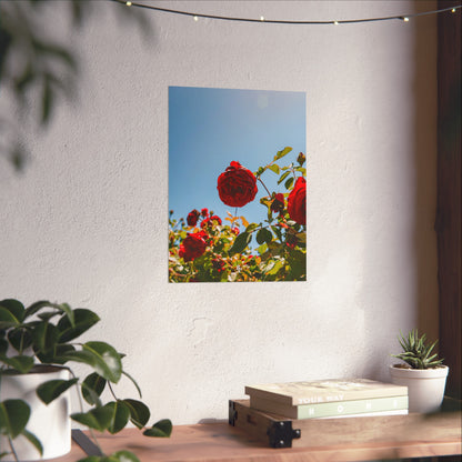 THE. ROSES. Fine Art Posters