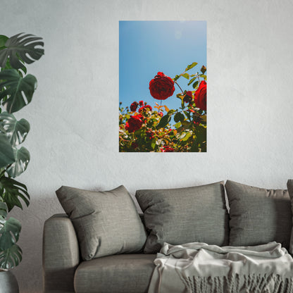 THE. ROSES. Fine Art Posters