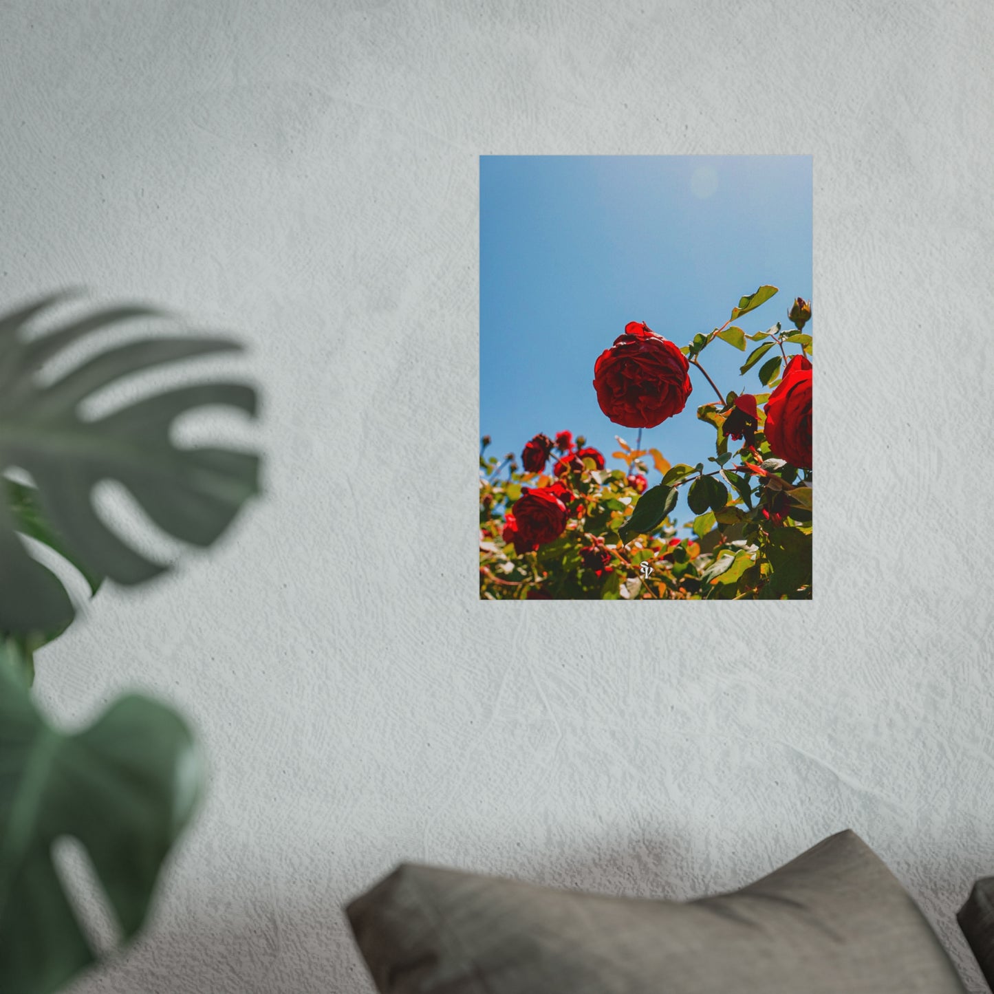 THE. ROSES. Fine Art Posters