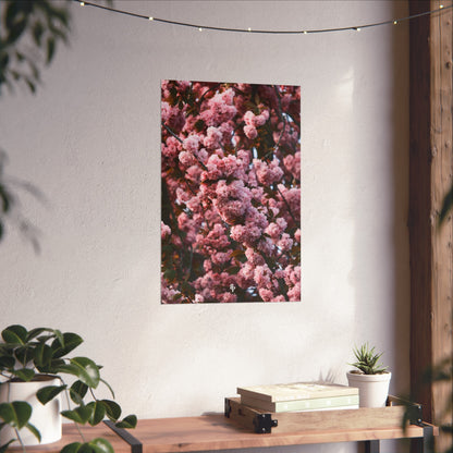BLOSSOM! Fine Art Posters