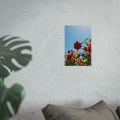 THE. ROSES. Fine Art Posters