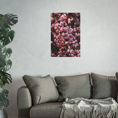 BLOSSOM! Fine Art Posters