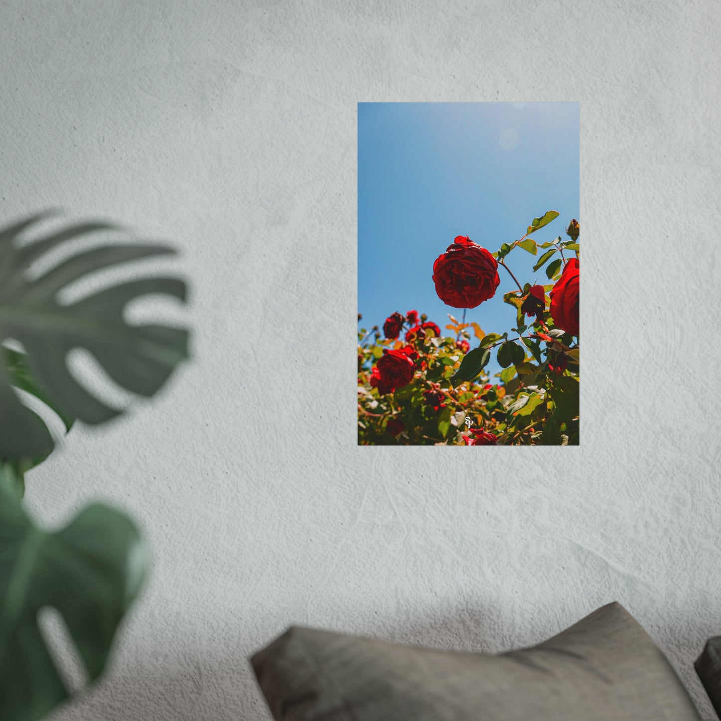 THE. ROSES. Fine Art Posters