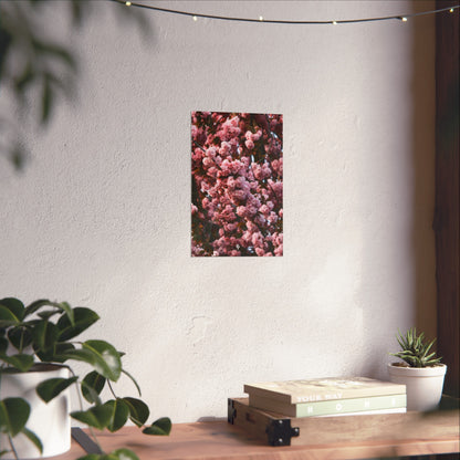 BLOSSOM! Fine Art Posters