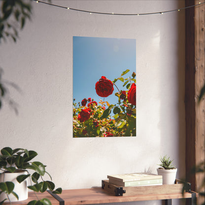 THE. ROSES. Fine Art Posters