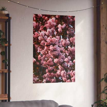 BLOSSOM! Fine Art Posters