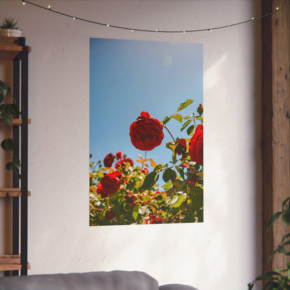 THE. ROSES. Fine Art Posters