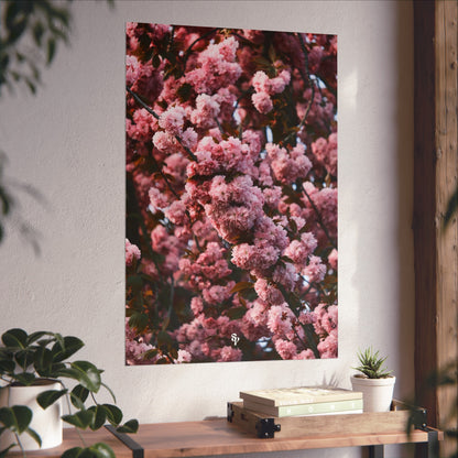 BLOSSOM! Fine Art Posters