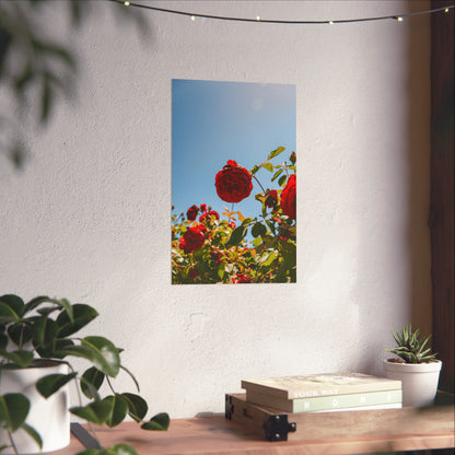 THE. ROSES. Fine Art Posters