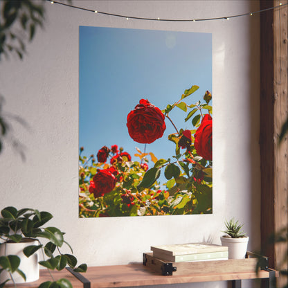 THE. ROSES. Fine Art Posters