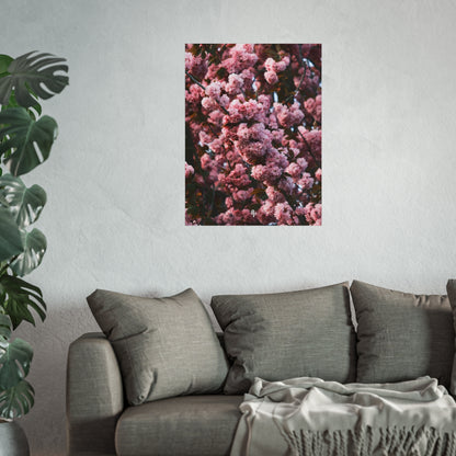 BLOSSOM! Fine Art Posters