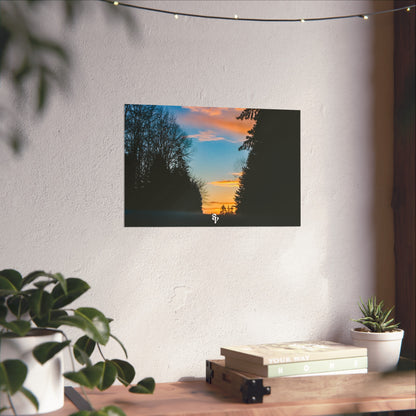 SunSet Posters