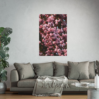 BLOSSOM! Fine Art Posters
