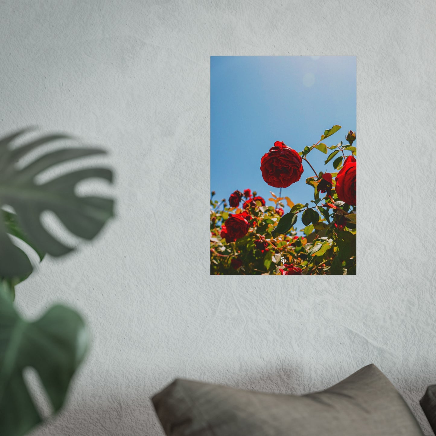 THE. ROSES. Fine Art Posters