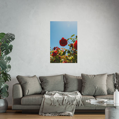 THE. ROSES. Fine Art Posters