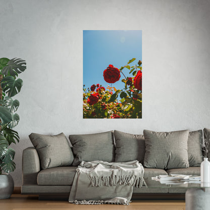 THE. ROSES. Fine Art Posters